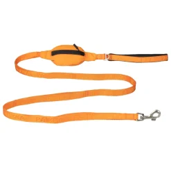 Visibility Orange Dog Leash