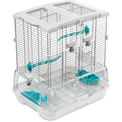 Vision Bird Cage