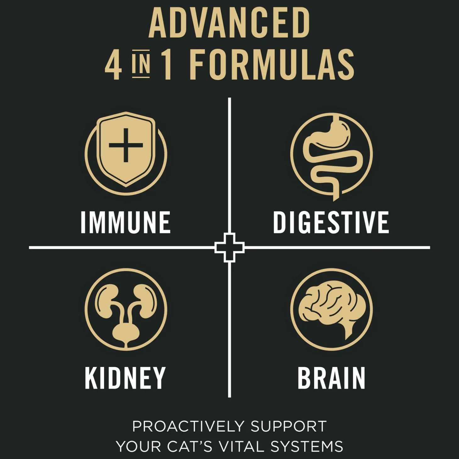 Vital Systems Chicken Entree Cat Food