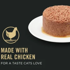 Vital Systems Chicken Entree Cat Food