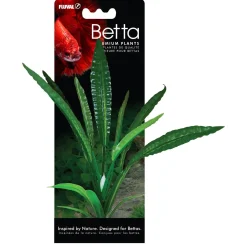 Water Trumpet Betta Plant