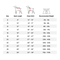 Waterproof Yellow Raincoat