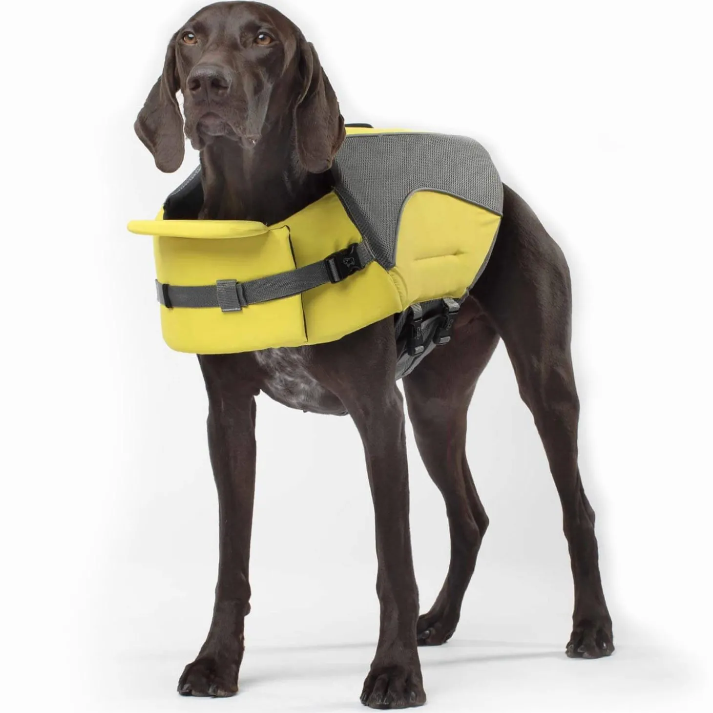 Wave Rider Life Jacket Yellow