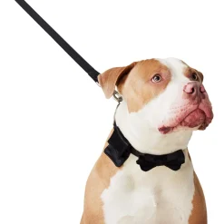 Wedding Black Dog Collar & Leash Set