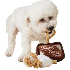 Wedding Happily Ever After Rope Dog Toy