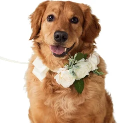 Wedding Ivory Dog Collar & Leash Set