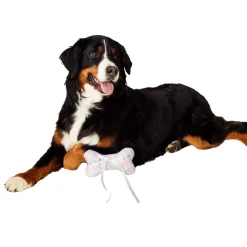 Wedding Ring Bearer Bone Dog Toy