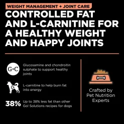 Weight Management + Joint Care Salmon Recipe Dog Food