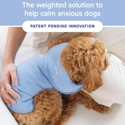 Weighted Blue Calming Vest