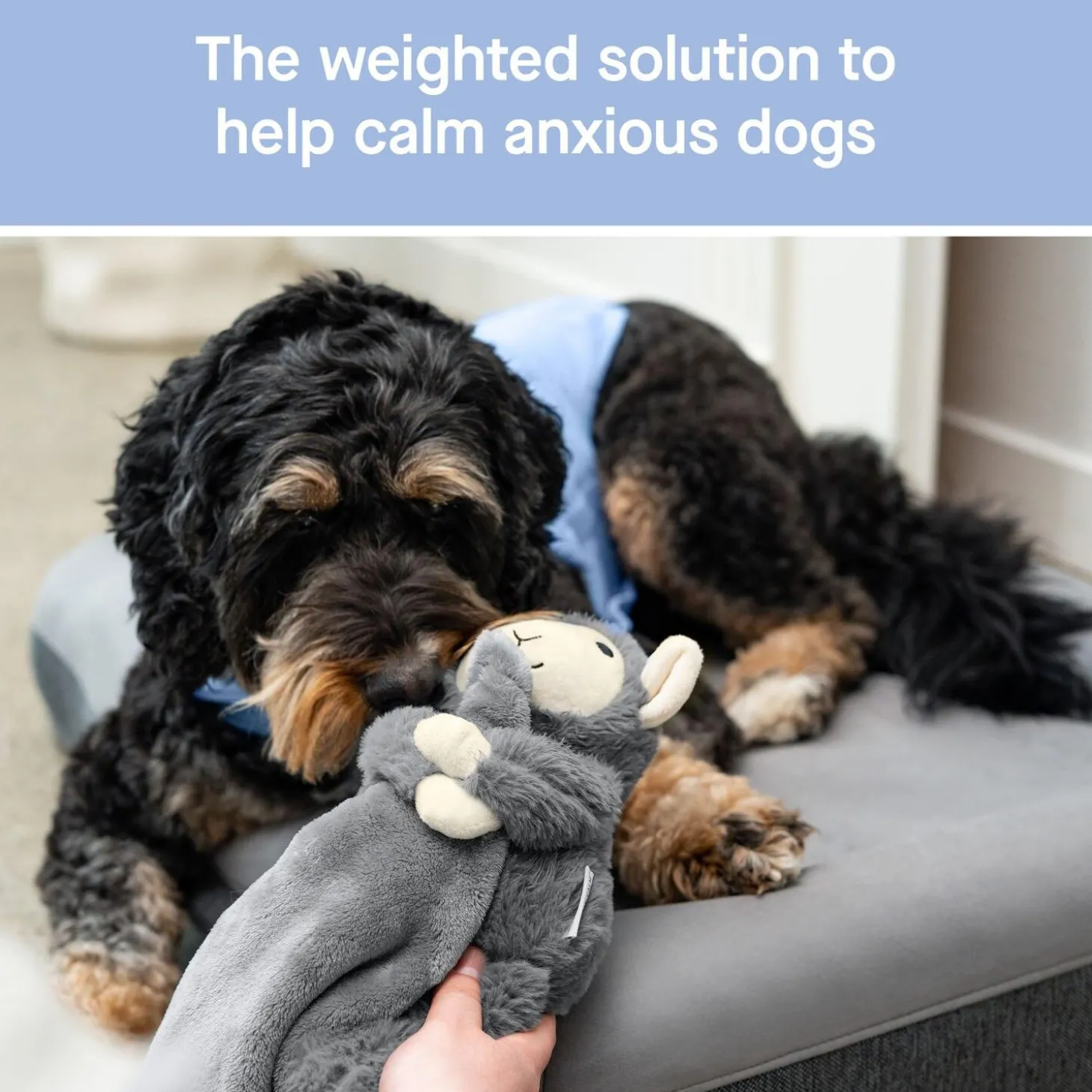 Weighted Grey Dog Toy