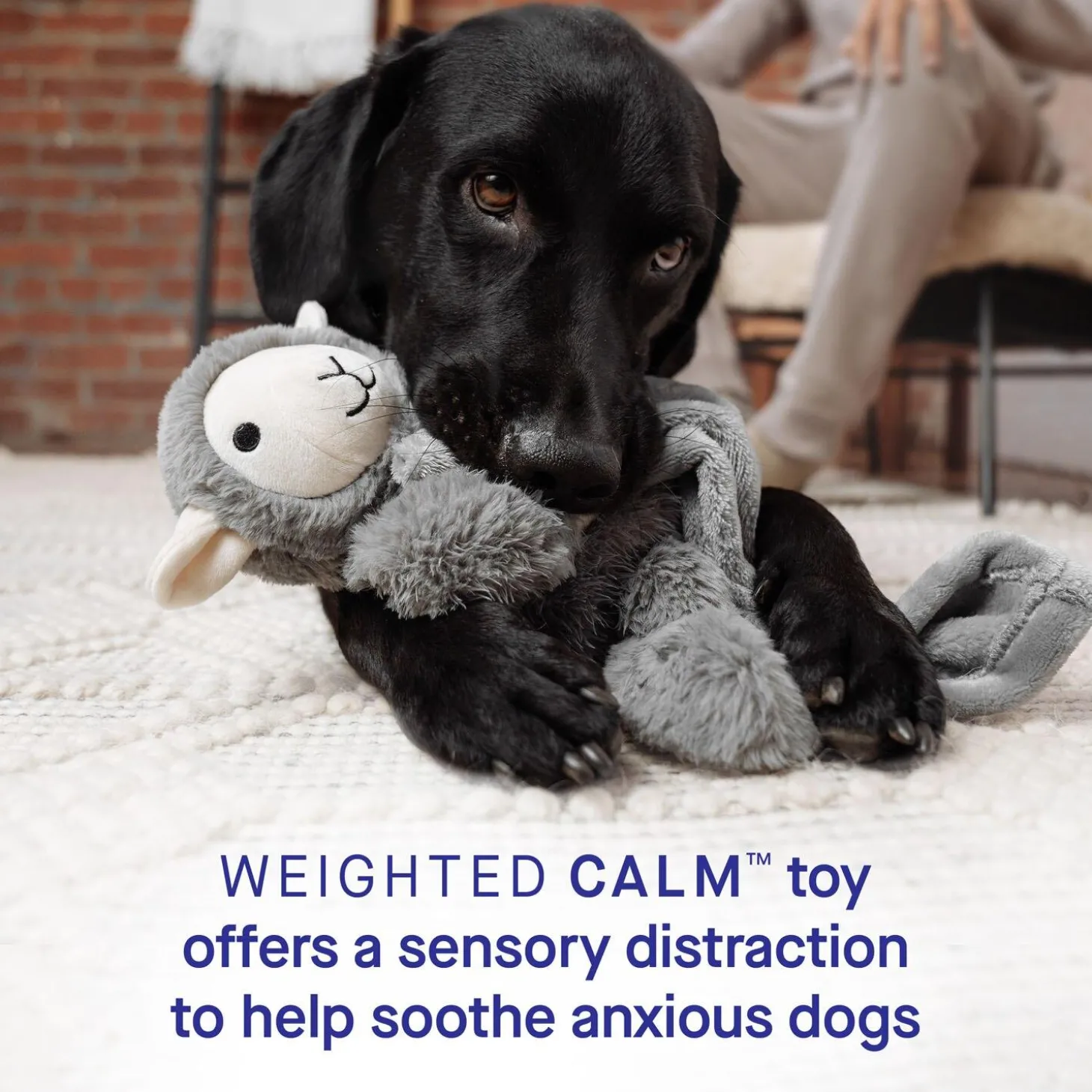 Weighted Grey Dog Toy