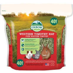 Western Timothy Hay