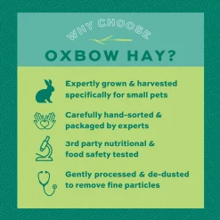 Western Timothy Hay Bulk