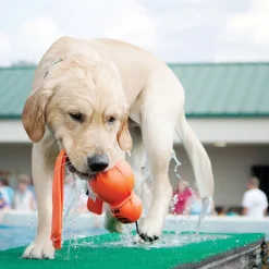 Wet Wubba Assorted Colours Dog Toy