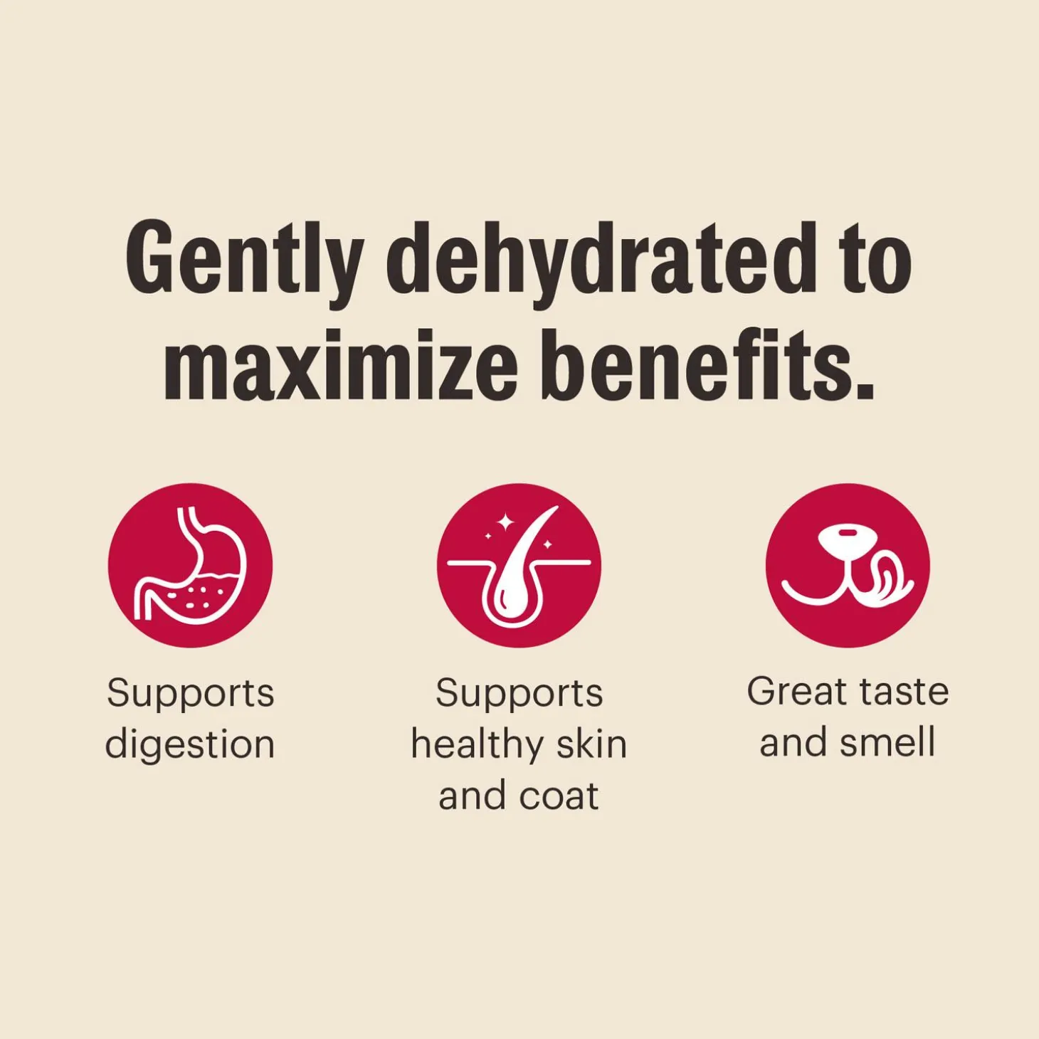 Whole Grain Chicken Recipe Dog Food