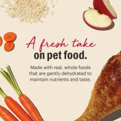 Whole Grain Turkey Recipe Adult Dog Food