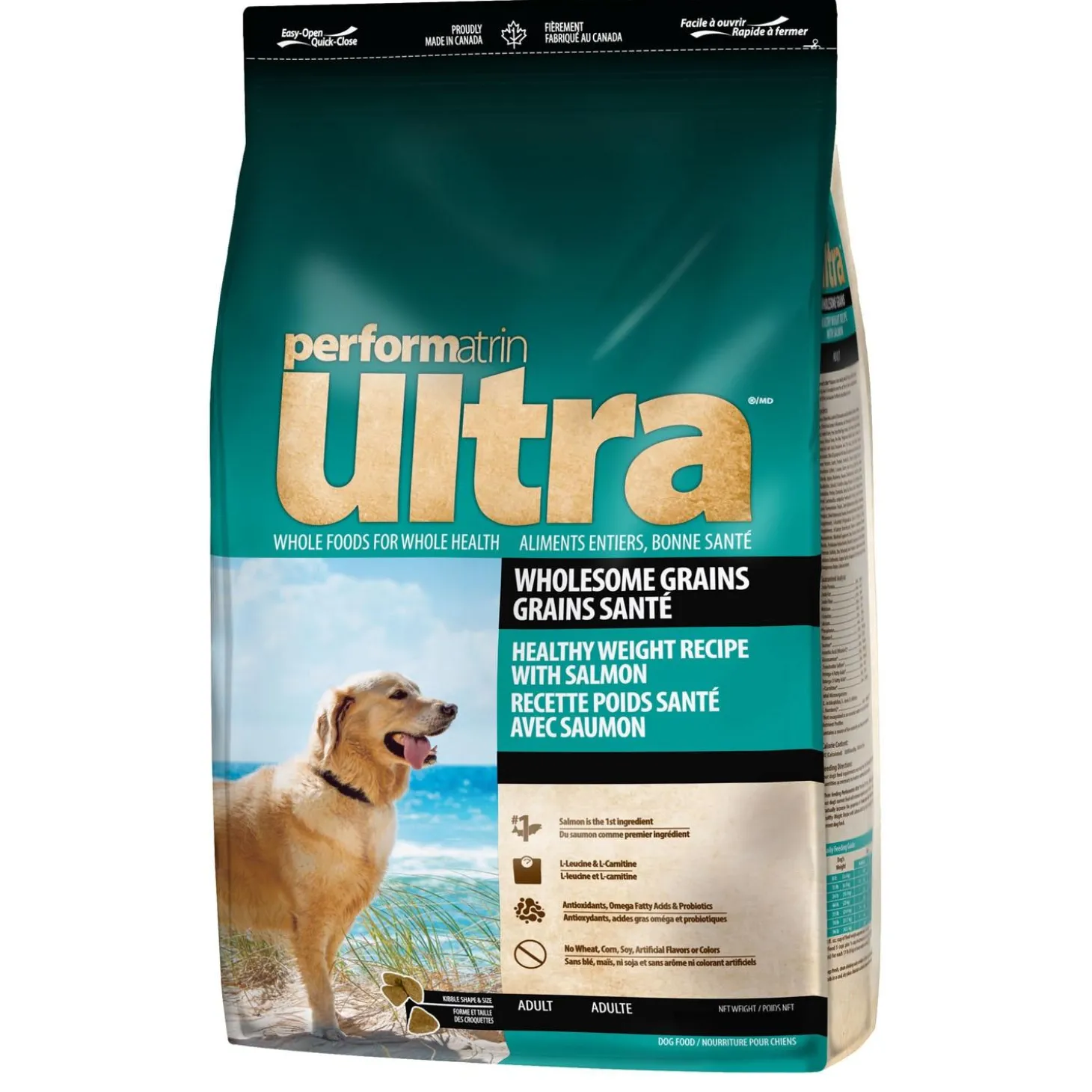 Wholesome Grains Healthy Weight Recipe with Salmon Adult Dog Food