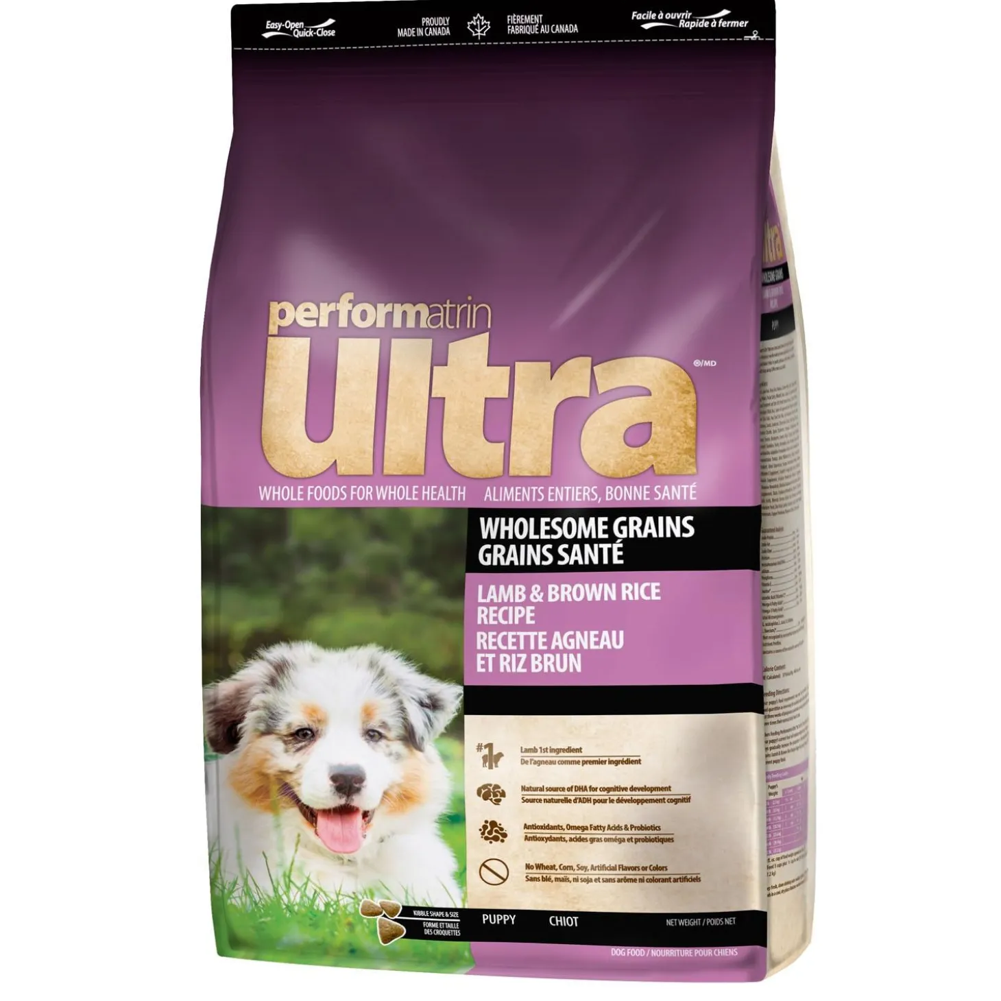 Wholesome Grains Lamb & Brown Rice Recipe Puppy Dog Food