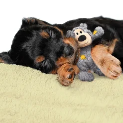 Wild Knots Bear Assorted Colours Dog Toy