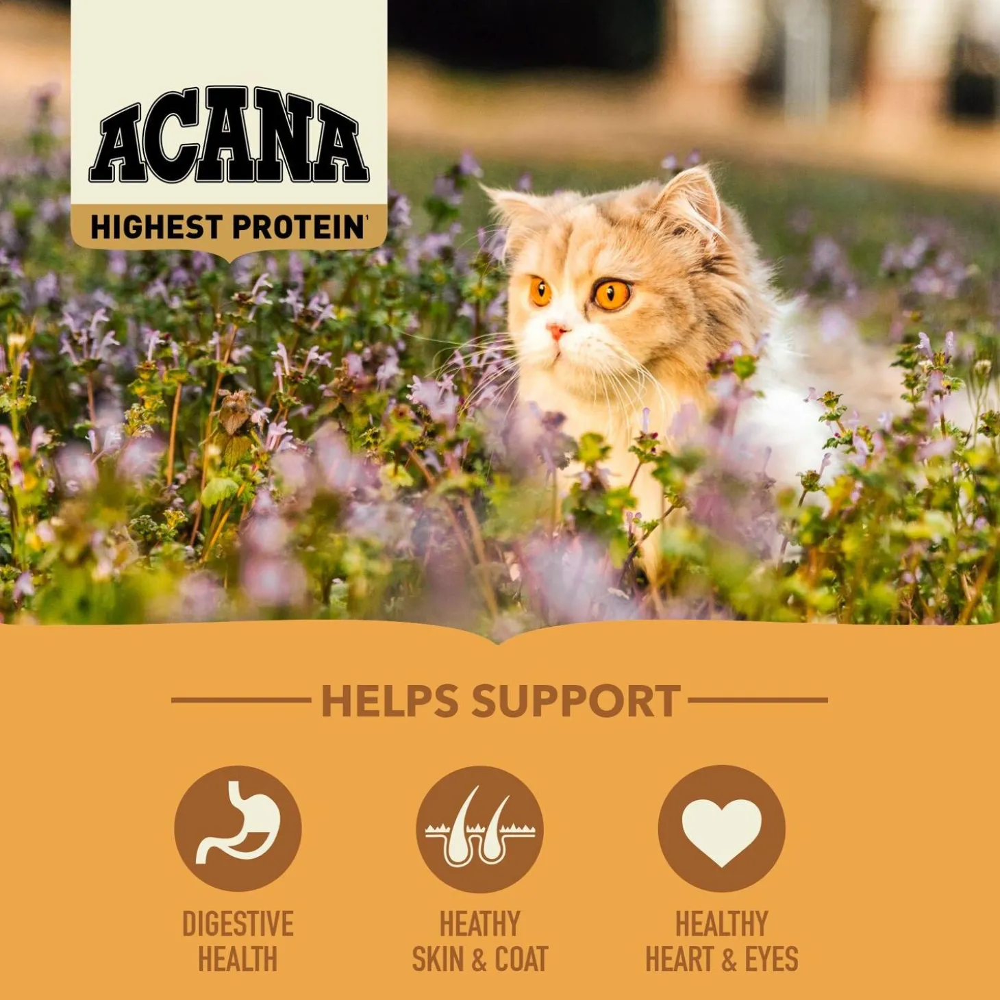 Wild Prairie Cat Food