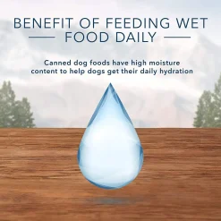 Wilderness Beef & Chicken Grill Recipe Adult Dog Food