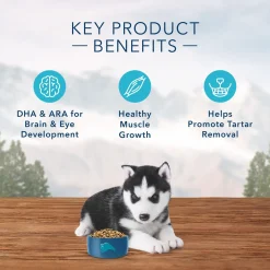 Wilderness Chicken Recipe Puppy Dog Food