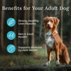 Wilderness Chicken With Grain Recipe Adult Dog Food