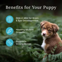 Wilderness Chicken With Grain Puppy Dog Food