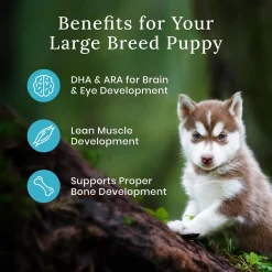 Wilderness Chicken With Grain Large Breed Puppy Dog Food