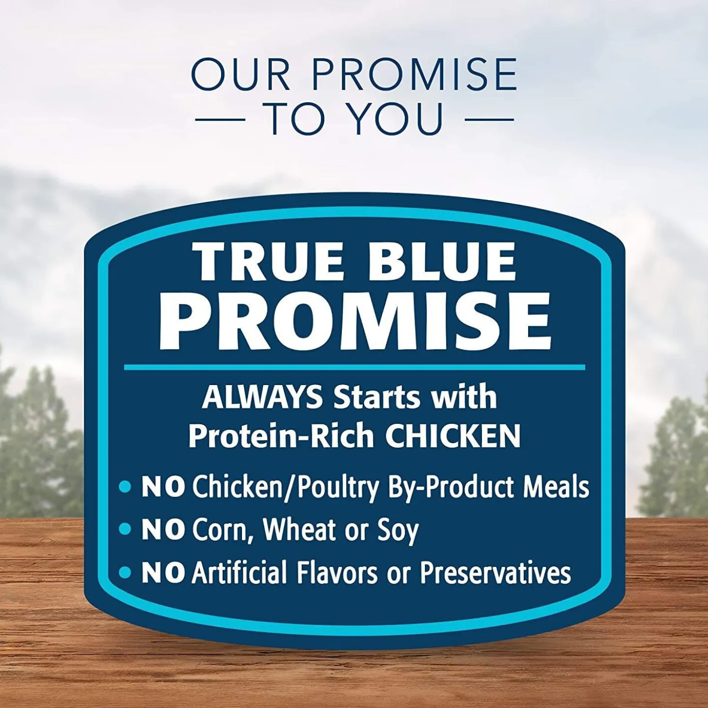 Wilderness Grain Free Chicken Recipe Adult Cat Food