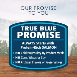 Wilderness Grain Free Salmon Recipe Kitten Cat Food