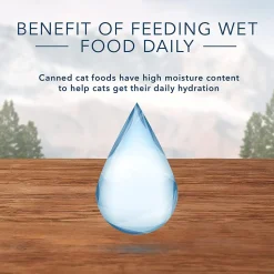 Wilderness Grain Free Turkey Recipe Adult Cat Food