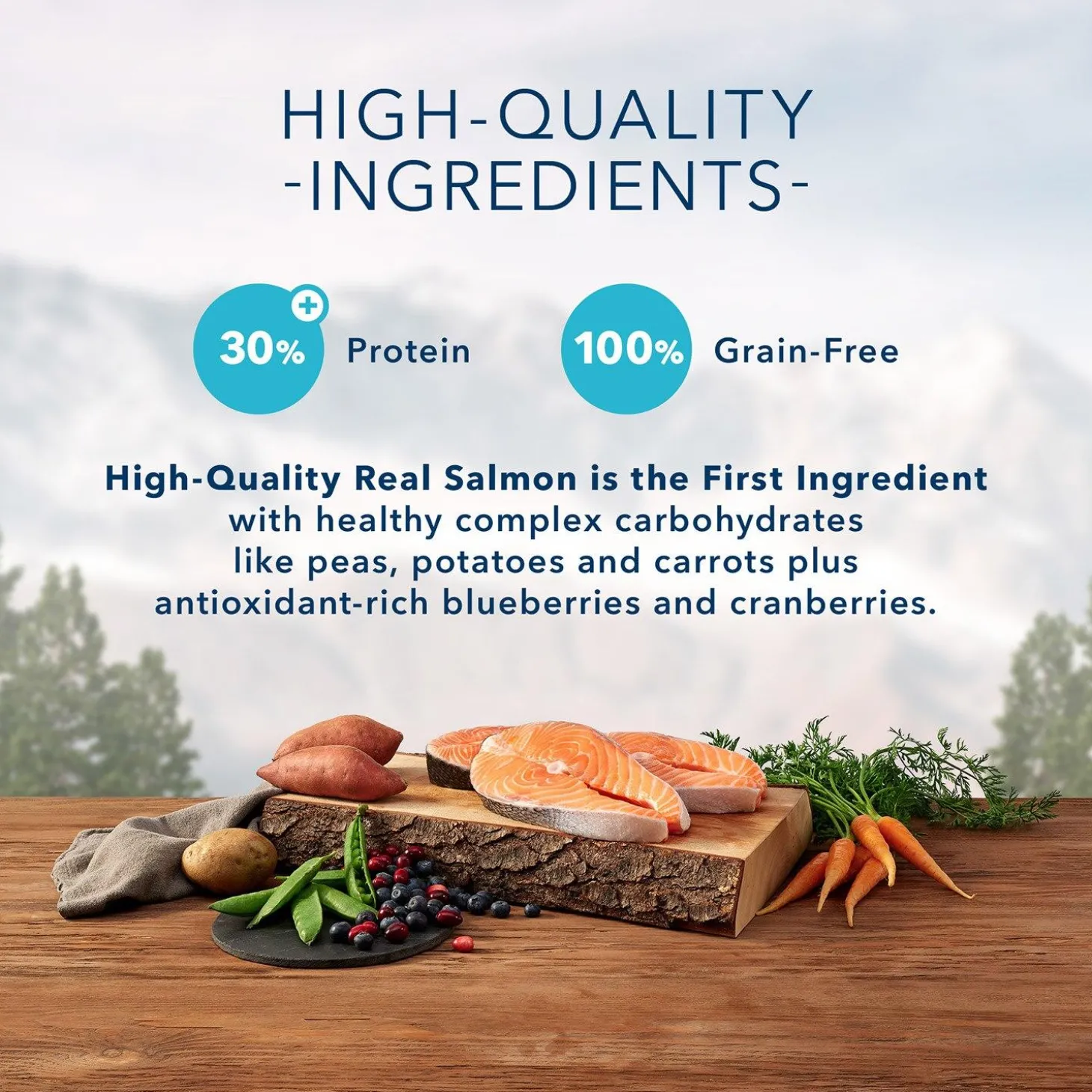 Wilderness Large Breed Salmon Recipe Adult Dog Food