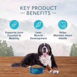 Wilderness Large Breed Salmon Recipe Adult Dog Food