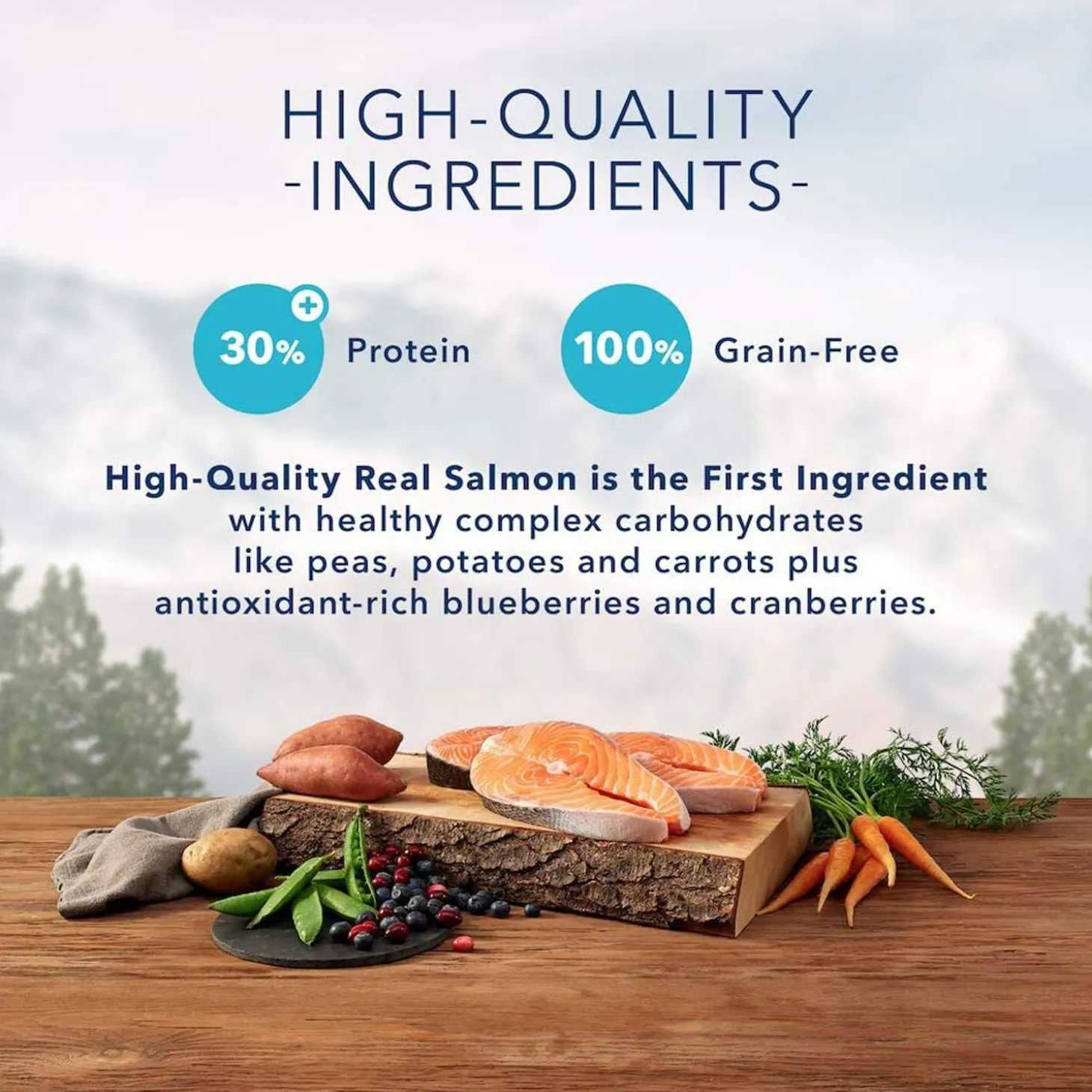 Wilderness Salmon Recipe Adult Dog Food