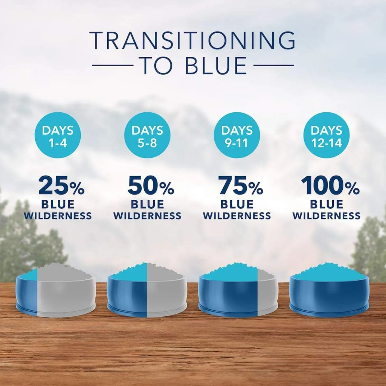 Wilderness Salmon Recipe Adult Dog Food