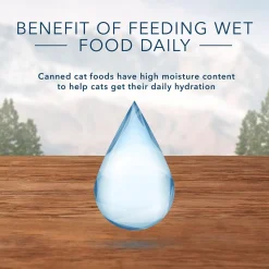 Wilderness Wild Delights Chicken & Turkey Flaked Recipe Adult Cat Food