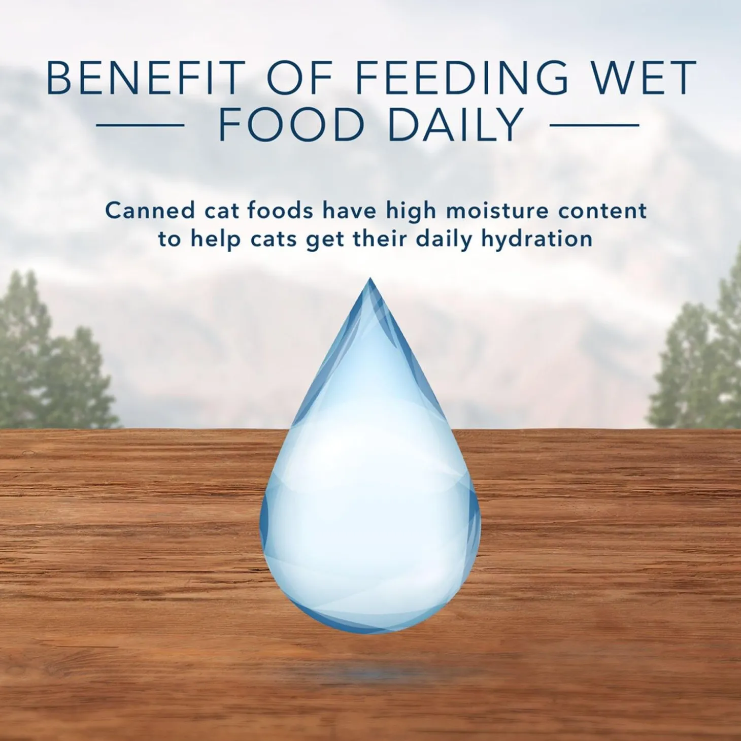 Wilderness Wild Delights Chicken & Trout Minced Recipe Adult Cat Food