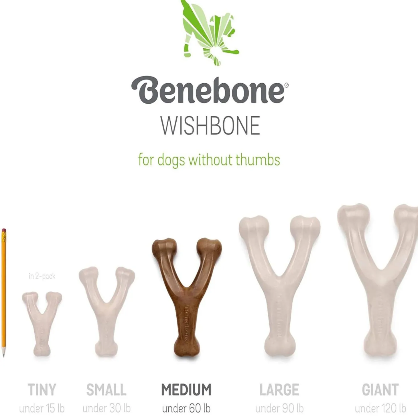 Wishbone & Dental Chew Bacon Flavour Medium Dog Toys