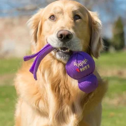 Wubba Assorted Colours Dog Toy