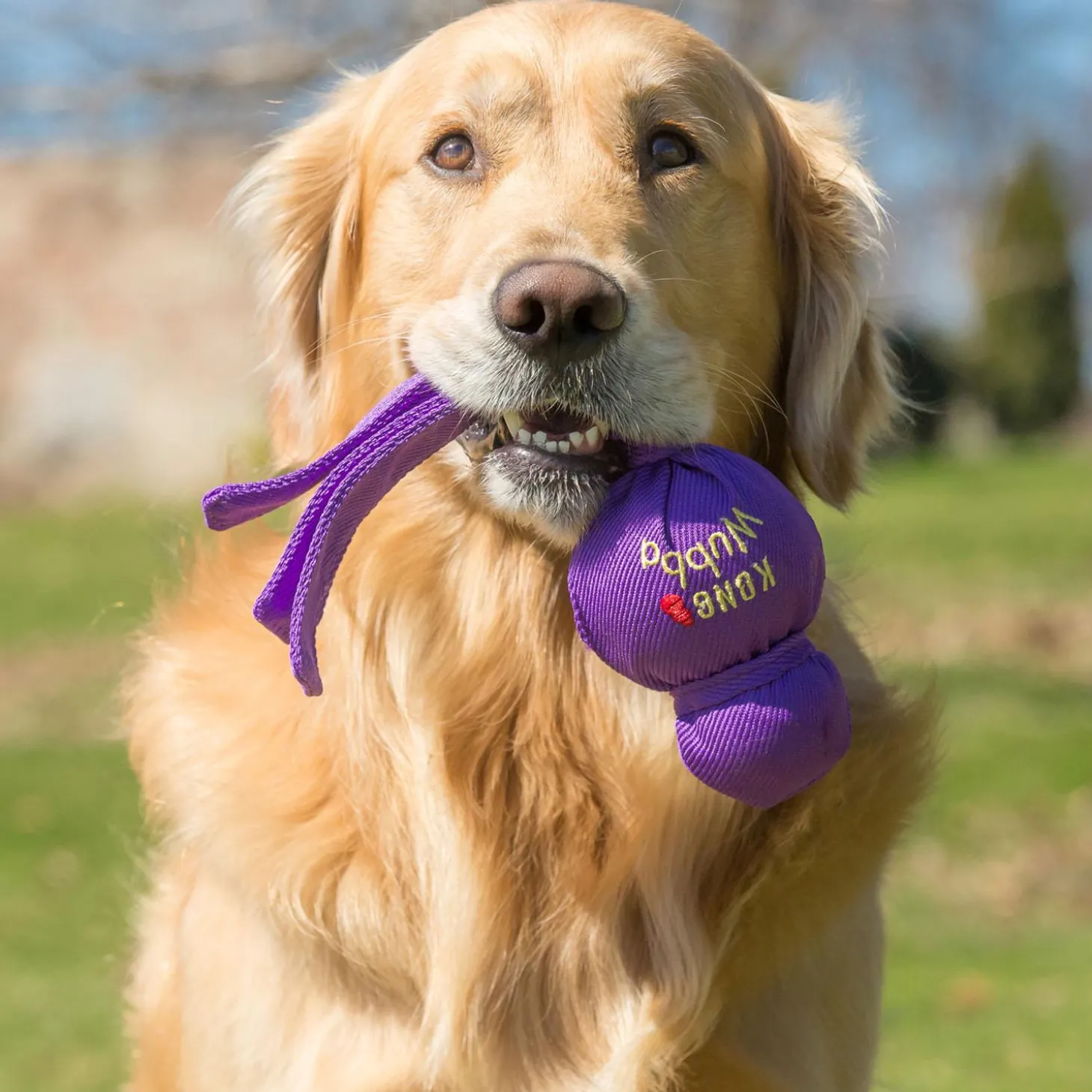 Wubba Assorted Colours Dog Toy