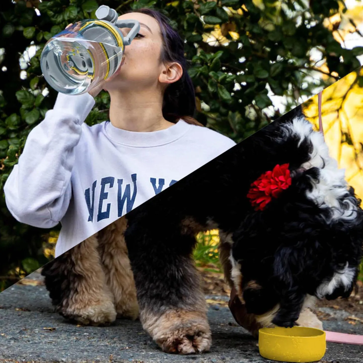 Yellow Barkley Bottle