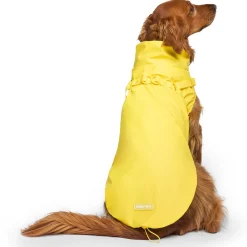 Yellow Raincoat Harness