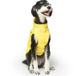 Yellow Raincoat Harness