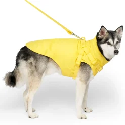 Yellow Raincoat Harness