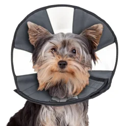 ZenCone Soft Recovery Collar