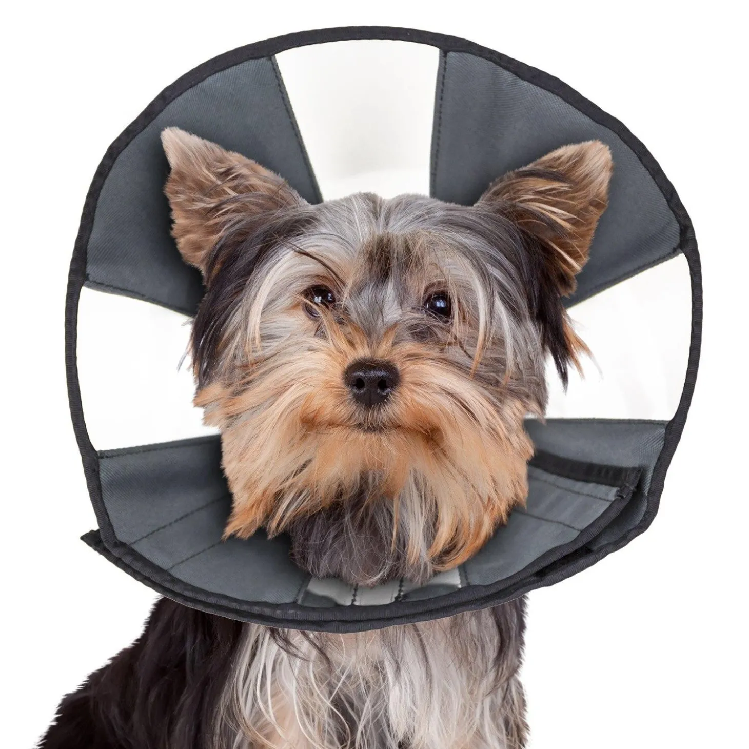 ZenCone Soft Recovery Collar