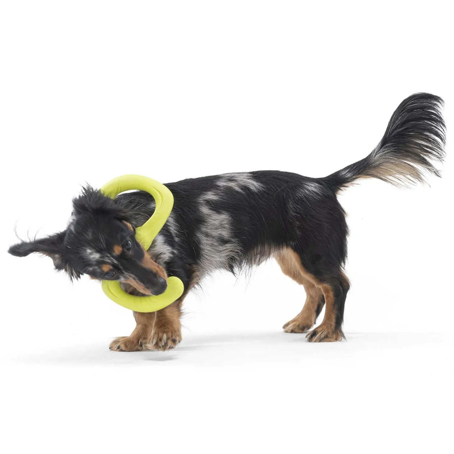Zogoflex Bumi Assorted Colours Dog Toy