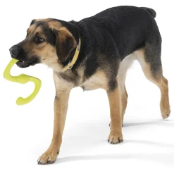 Zogoflex Bumi Assorted Colours Dog Toy