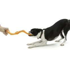 Zogoflex Bumi Assorted Colours Dog Toy